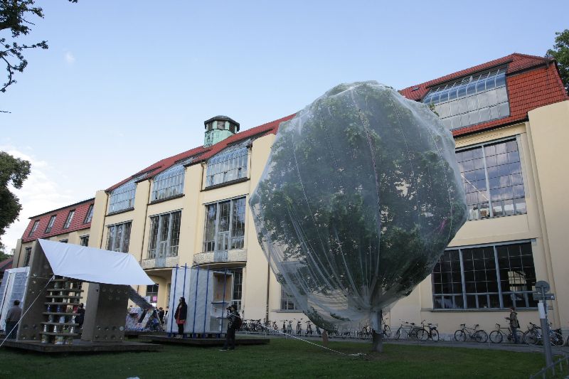 Bauhaus University Weimar Summaery 2012 catching insects