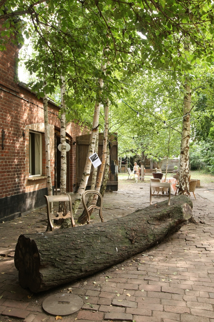 Tree Trunk Bench Jurgen Bey Unter Zwischen im Ampelhaus Oranienbaum