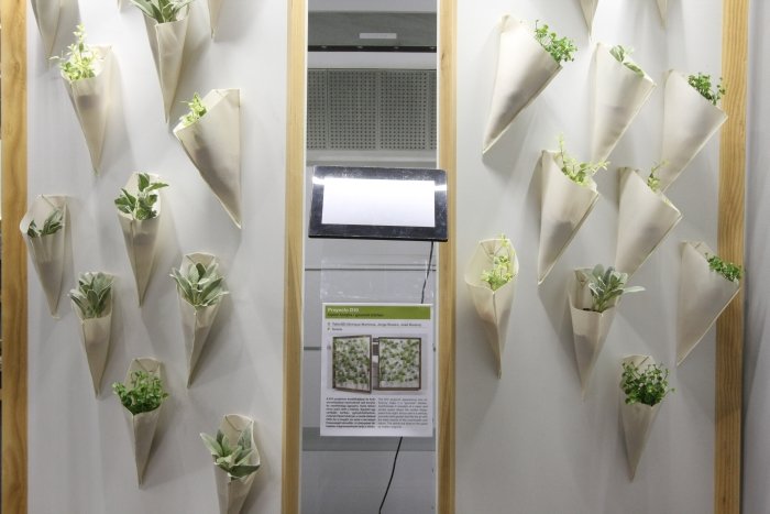 Proyecto D10 by TallerDD, a vertical herb garden