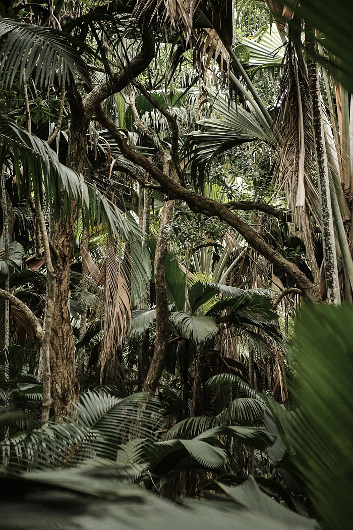 One of Sven Lützenkirchen's photos in detail (Photo © Sven Lützenkirchen, with courtesy Sven Lützenkirchen)