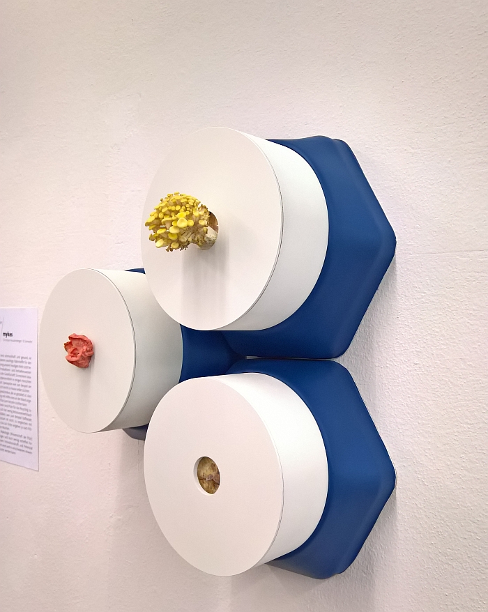 mykes by Christian Freudenberger, as seen at Kunsthochschule Kassel Rundgang 2017