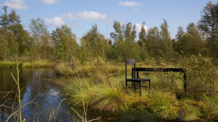 Back home! The Moorwerk table and chair go native.... (Photo © Moorwerk/Jan Christian Schulz)