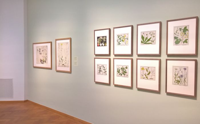 Botanical art by Theo Nieuwenhuis, as seen at Art Nouveau in Nederland, The Gemeentemuseum Den Haag