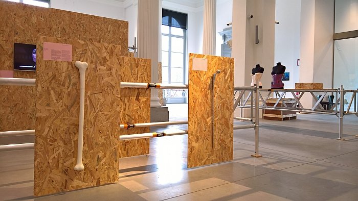 Bone walking stick by Francesca Lanzavecchia, part of Handle with CareFragilitas, La Boverie, as seen during Reciprocity Design Triennale Liege 2018