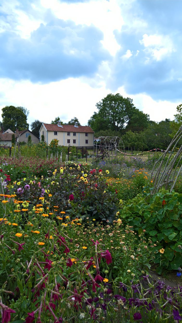 View across the student gardens, as seen at Sommarutställning 2019, Capellagården