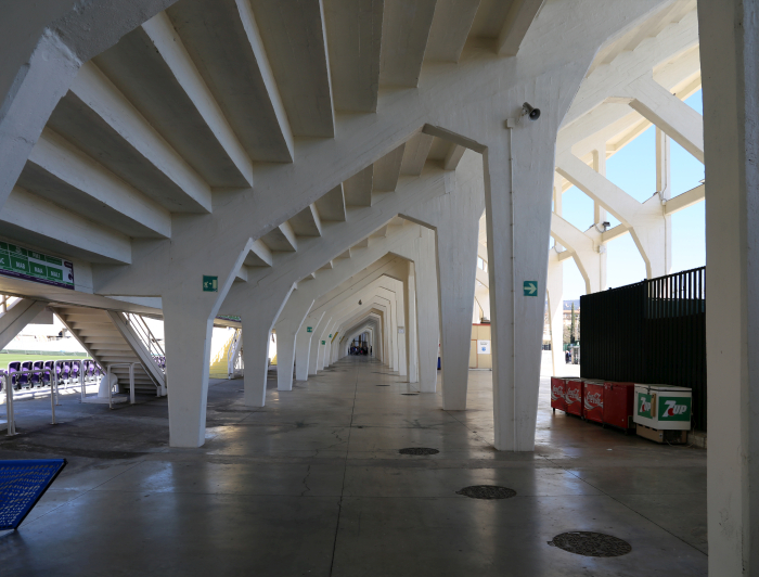 Stadio Artemio Franchi, Florence, a.k.a Comunale by Pier Luigi Nervi