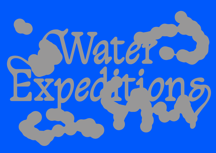 FORMAT 2023: Water Expeditions, Z33, Hasselt