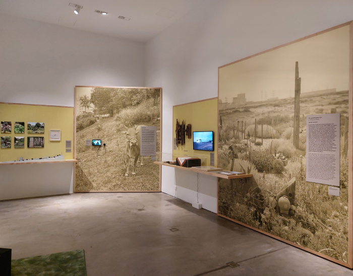 Introductions to Derek Jarman's garden at Prospect Cottage, Dungeness (r) and Kebun-Kebun Bangsar, Kuala Lumpur (l), as seen at Garden Futures. Designing with Nature, Vitra Design Museum, Weil am Rhein