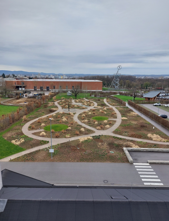 The Oudolf Garten on the Vitra Campus as seen in late March 2023.............but change is a comin'