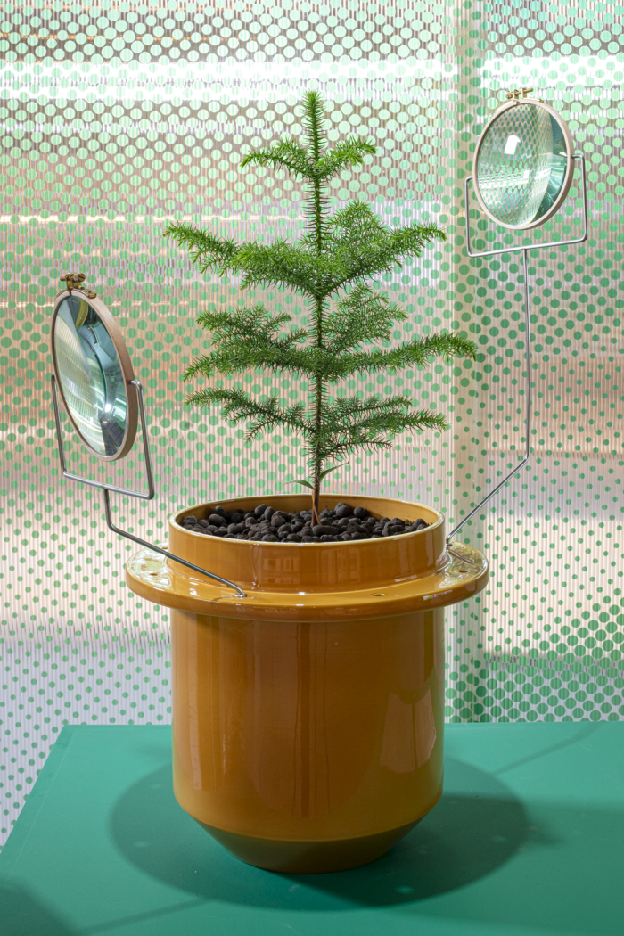 Phytophiler by Dossofiorito, part of Plant Fever. Towards a phyto-centred design, Kunstgewerbemuseum, Dresden (here as seen at Centre d’innovation et de design, CID, Hornu photo Tim Van de Velde, © and courtesy CID au Grand-Hornu)