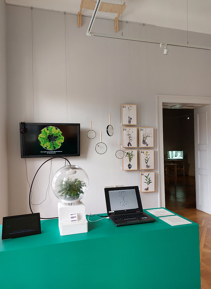 Florence by Helene Steiner which seeks to develop a human-plat communication interface, & GeoMerce by Gionata Gatto and Giovanni Innella which proposes uses plants to "mine" for heavy metals, as seen at Plant Fever. Towards a Phyto-centred design, Schloss Pillnitz Dresden