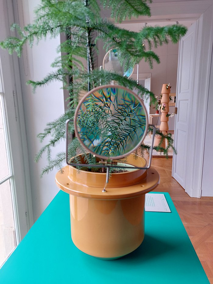 The Phytophiler by Dossofiorito a.k.a. Livia Rossi and Gianluca Giabardo, a plant pot with a magnifying glass to allow you to get closer to the plant, as seen at Plant Fever. Towards a Phyto-centred design, Schloss Pillnitz Dresden