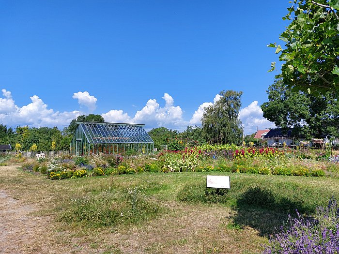 The student garden at Capellagården, as seen at the Capellagården Summer Exhibition 2023