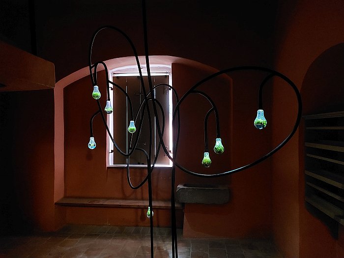 "Wie herrlich leuchtet mir die Natur!" wrote once Goethe, "How wonderfully nature shines for me!", a position reflected on, pun intended, by Rosmarie Weinlich in her installation Habitat in Goethe's Gartenhaus. Part of the Klassik Stiftung Weimar's Theme Year 2023: Wohnen