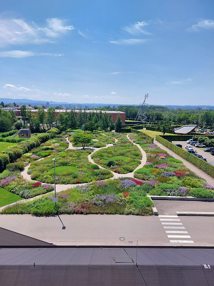 The Piet Oudolf Garden as viewed from the VitraHaus, Vitra Campus, Weil am Rhein (July 2024) (Views of the Oudolf Garden at other times can be found in context of our post from Garden Futures. Designing with Nature)