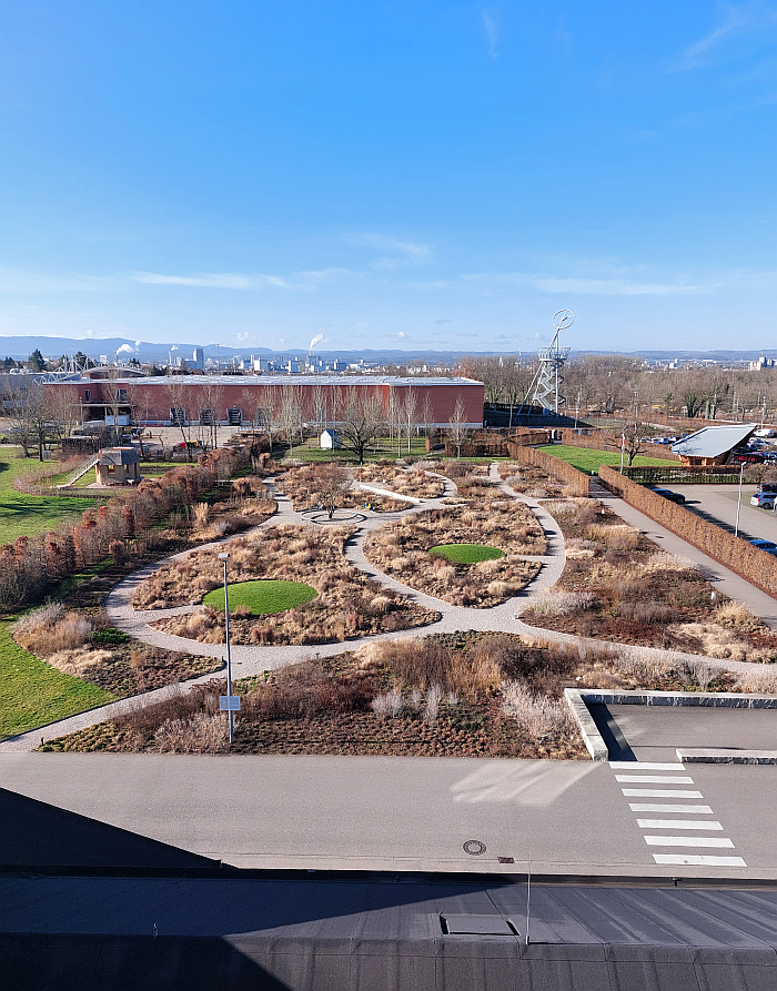 The Piet Oudolf Garden as viewed from the VitraHaus, Vitra Campus, Weil am Rhein (February 2024) (Views of the Oudolf Garden at other times can be found at Garden Futures. Designing with Nature)