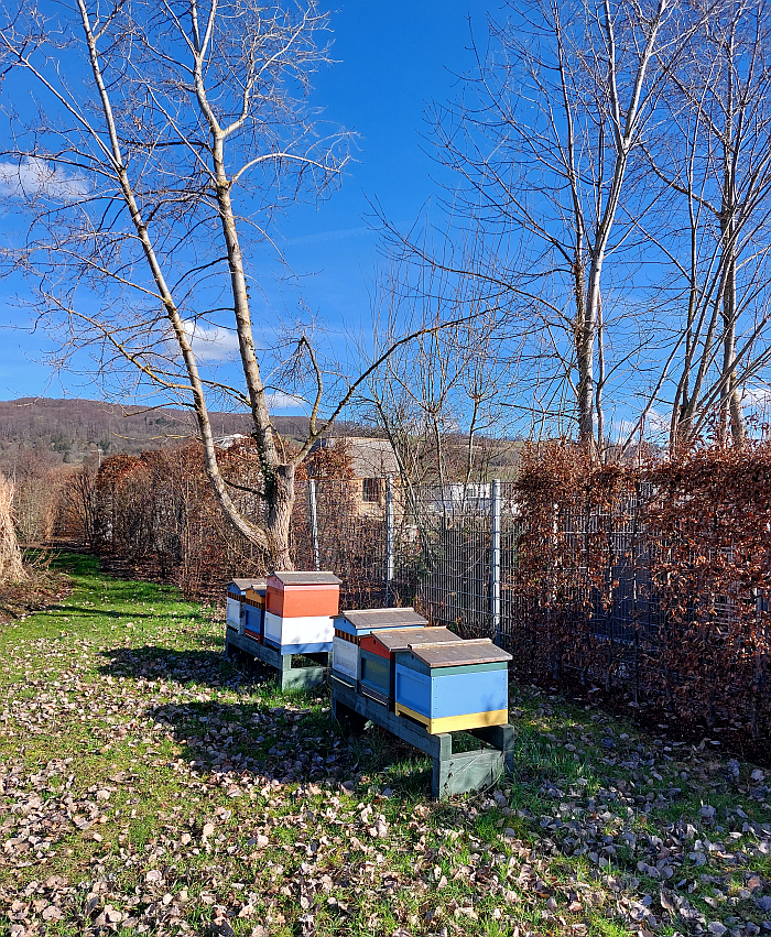 Two buildings for gardeners: beehives by annonymous and The Garden House by Tsuyoshi Tane, Vitra Campus, Weil am Rhein (February 2024)