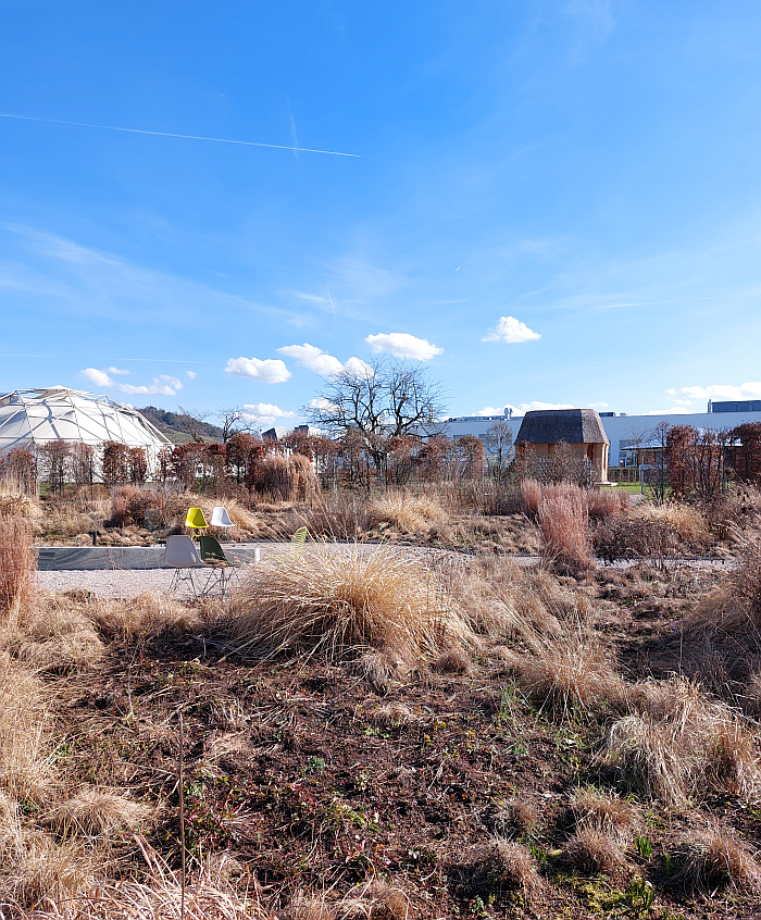 In February Tsuyoshi Tane's Garden House blends in with the perennials. And in summer?