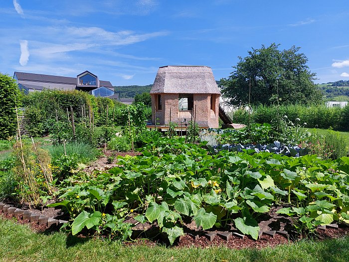 The Vitra staff vegetable garden, Vitra Campus, Weil am Rhein (July 2024)