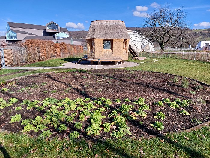 The Vitra staff vegetable garden, Vitra Campus, Weil am Rhein (February 2024)