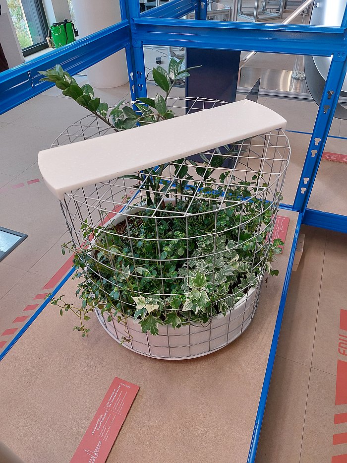 How many house plants are enough house plants? by Kateřina Husáková, as seen at Designblok Prague 2024