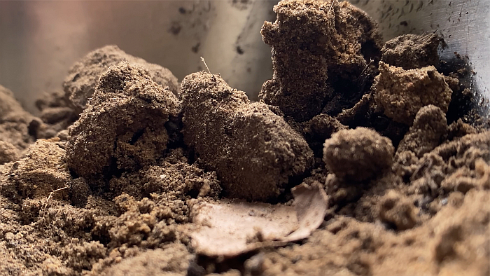 A still from Ge (Recipe) by Asad Raza, 2020, part of Soil The World at Our Feet, Somerset House, London (image © Asad Raza, courtesy Somerset House)