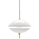 Clam Pendant Lamp