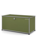 USM Haller Lowboard M, with 1 Drop-down Door, Olive green RAL 6003