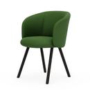 Mikado Armchair, Dark oak, Plano, Grass green / forest, Glides for carpets