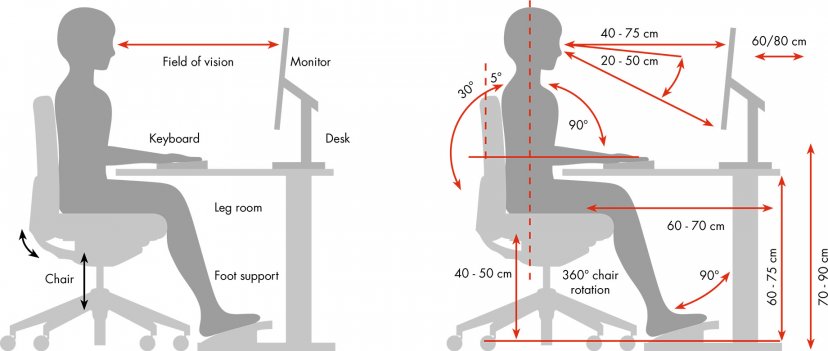 Ergonomics - The Most Important Questions & Answers - Whether In An 