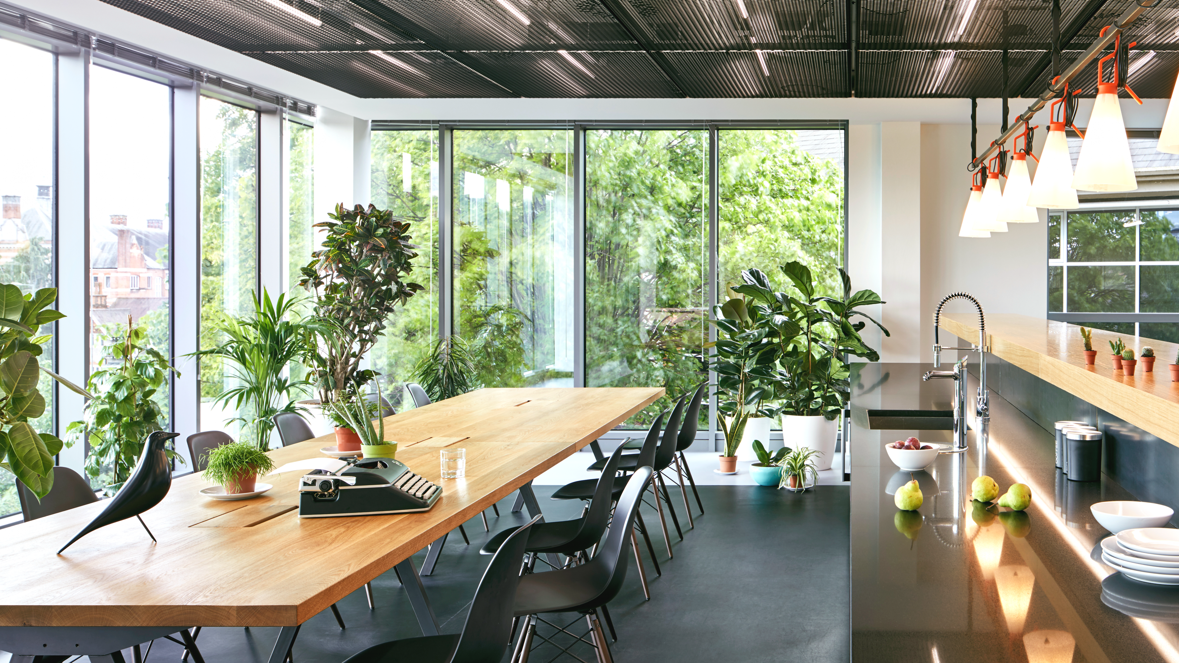 Green plants in the office