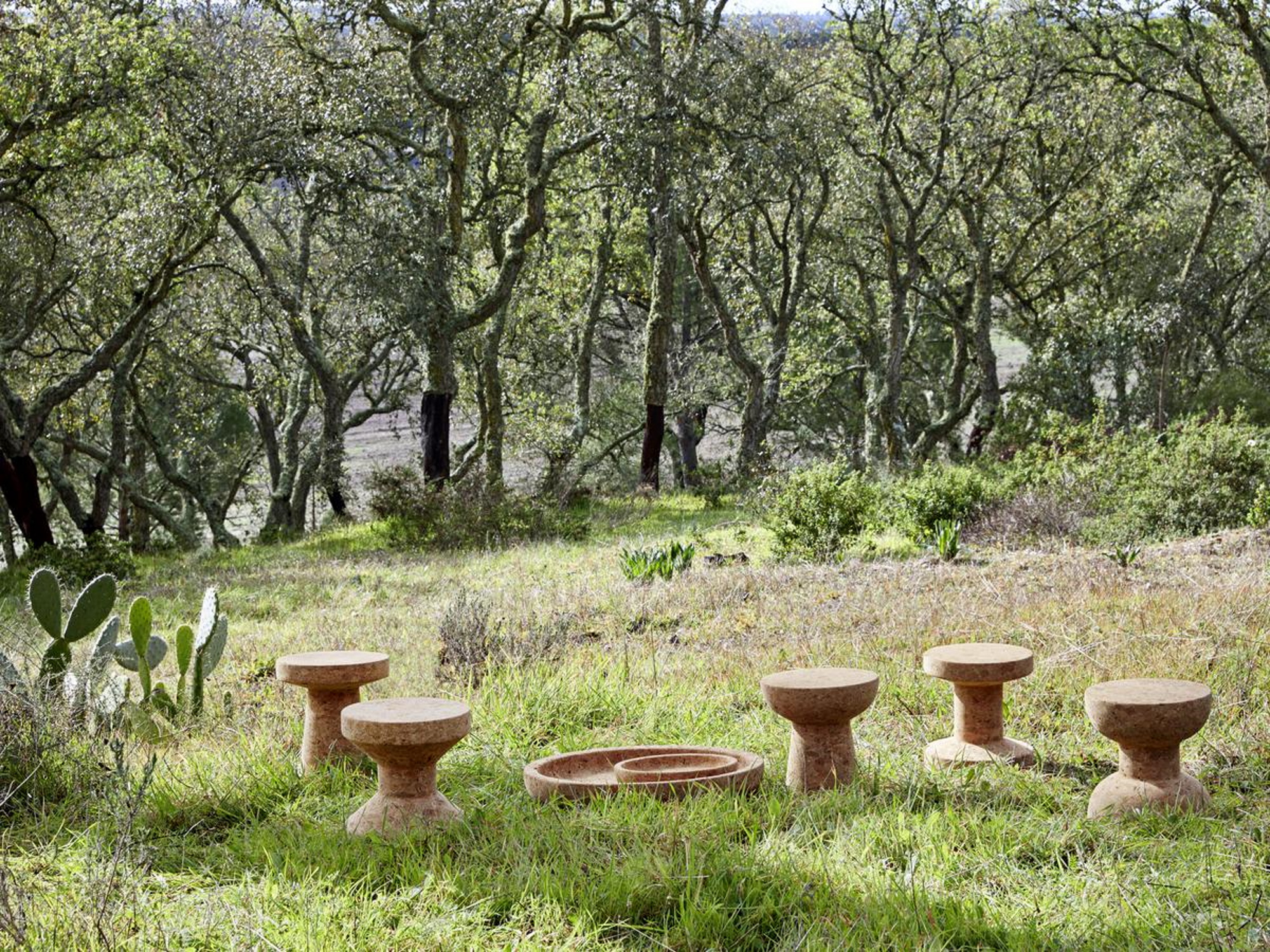 Vitra Cork Bowl Family