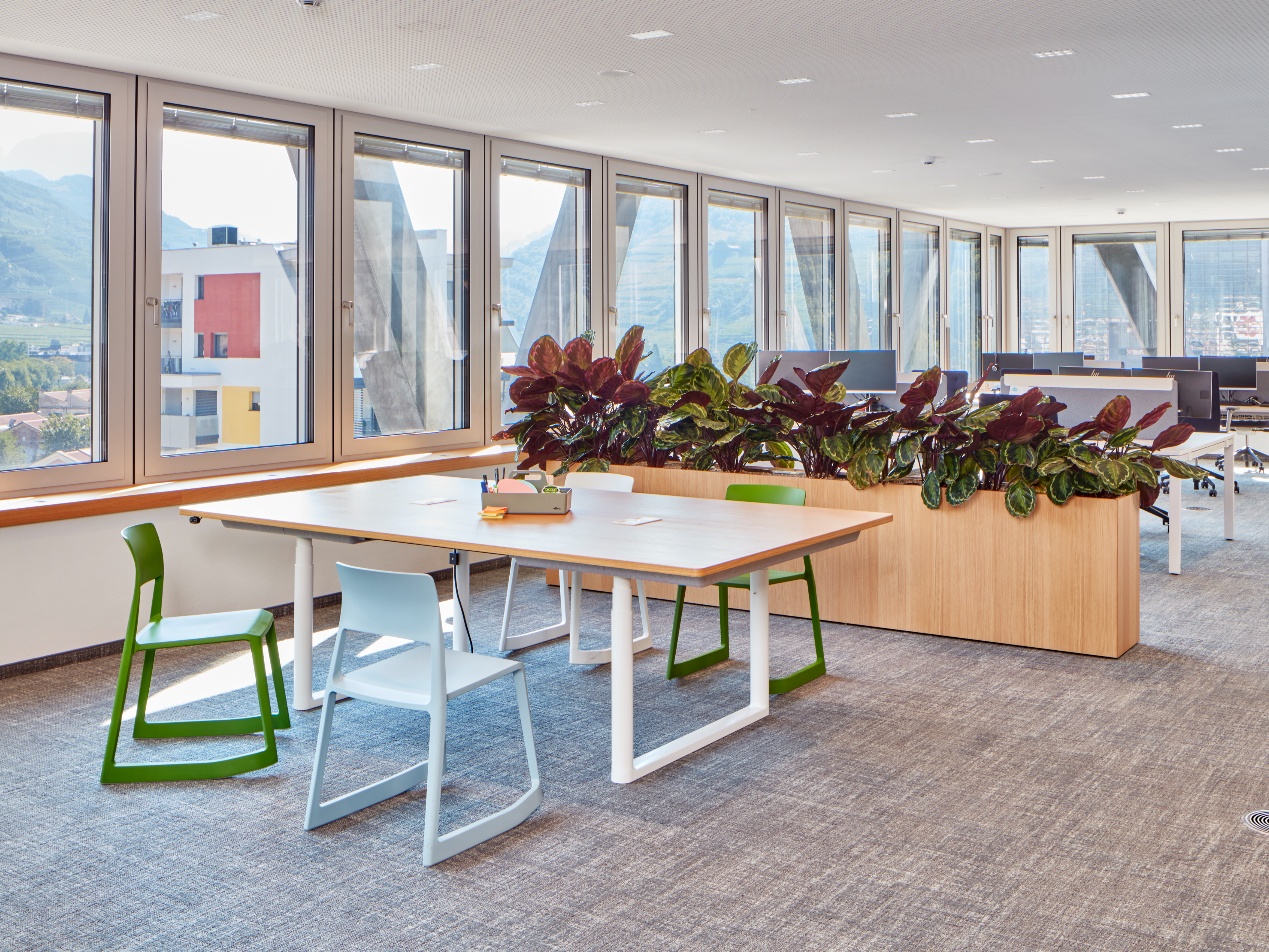 Plant boxes as privacy screens in the office