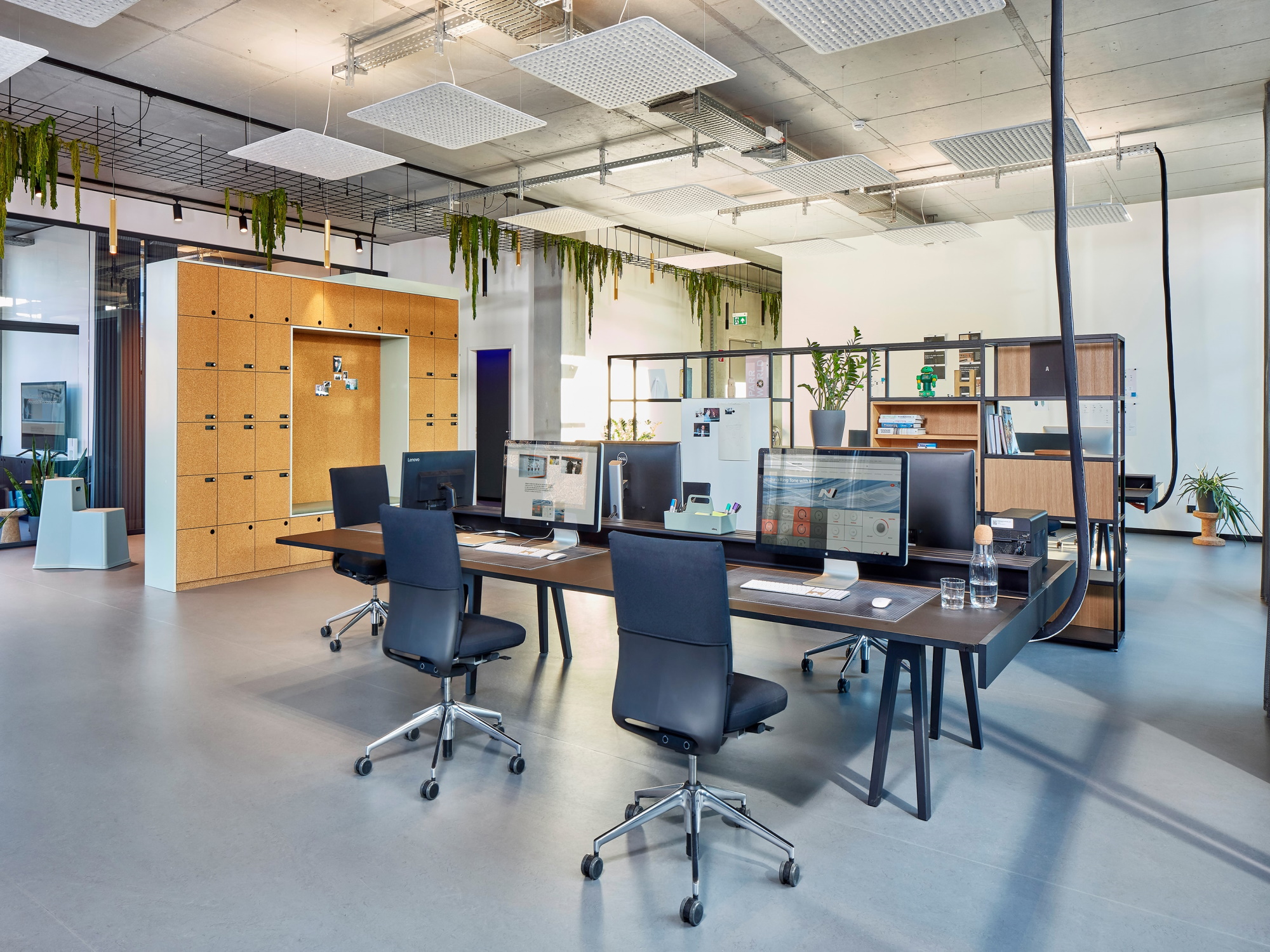 Office der Schöpfung with hanging plants